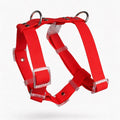Arnés impermeable rojo Vekopets