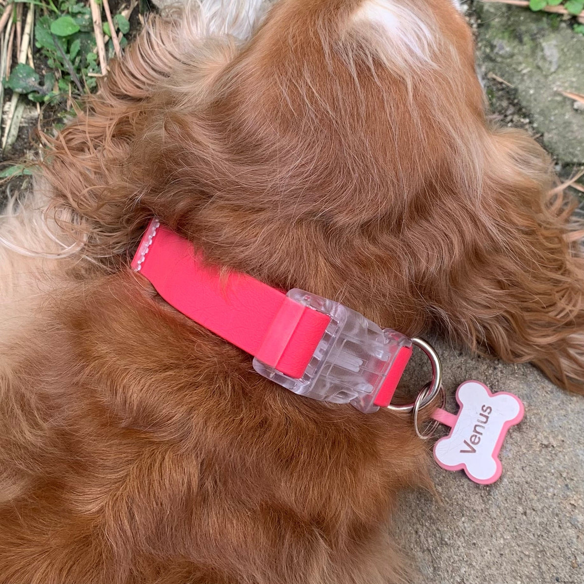 Collar impermeable fucsia Vekopets