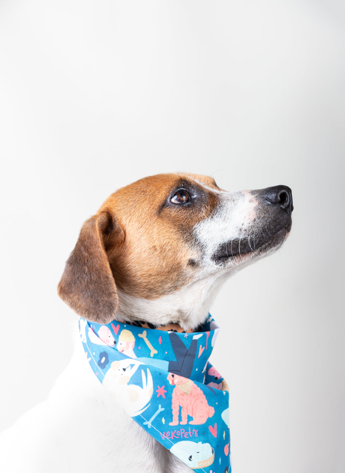Tango Vekopets