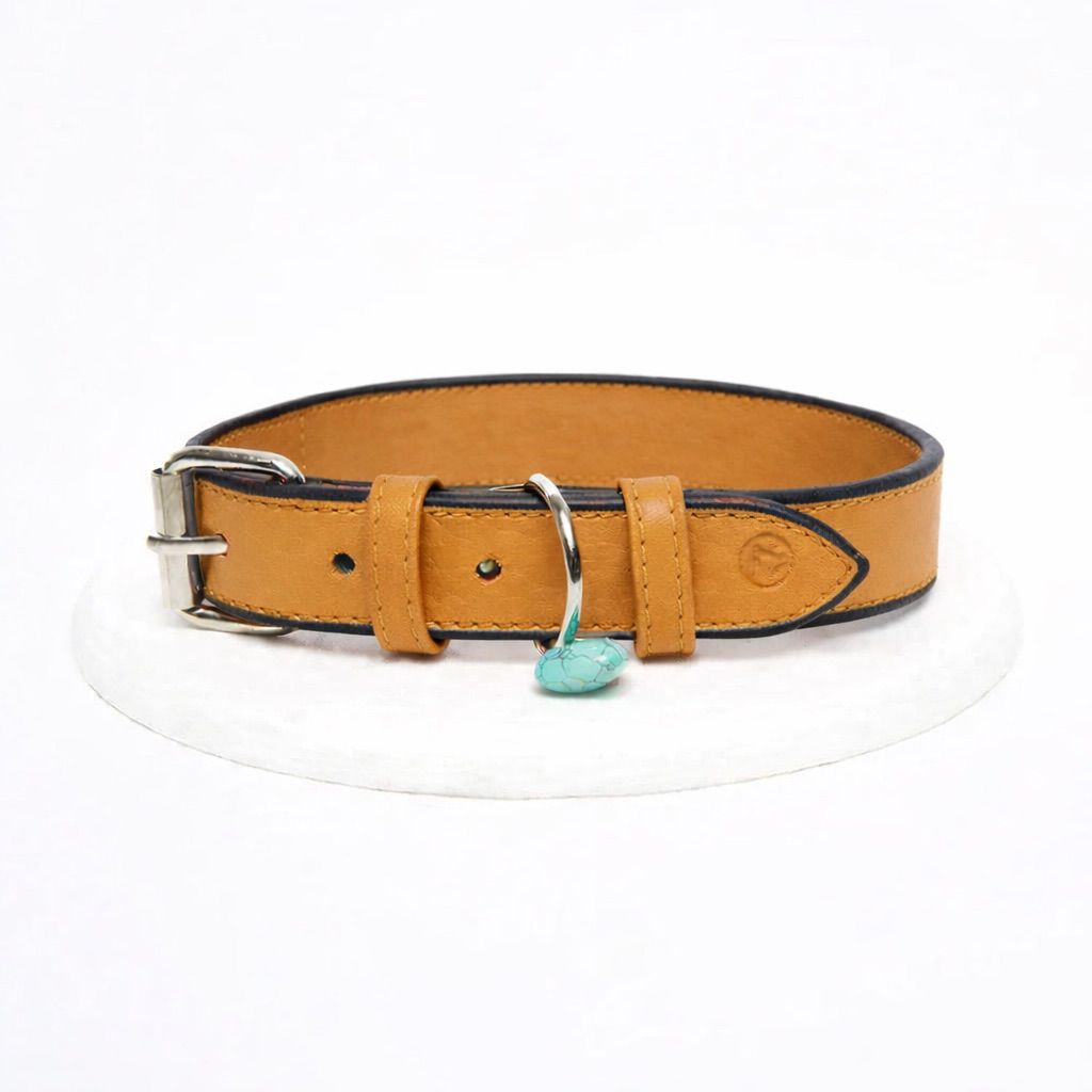 Collar Honey Noir Vekopets